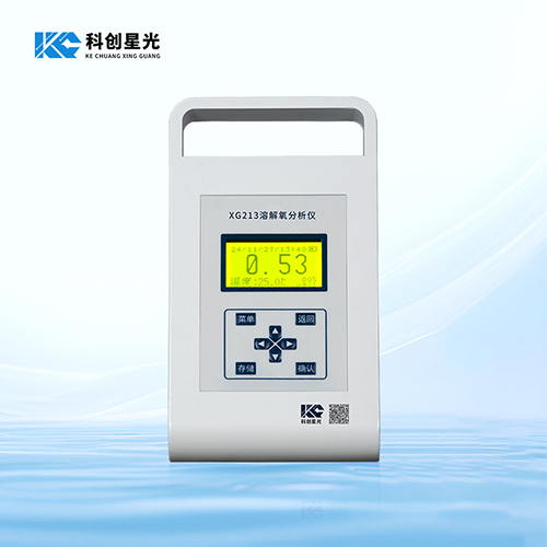 XG213 便携式溶解氧分析仪
